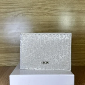 Dior Oblique Grey