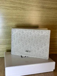 Dior Oblique Grey