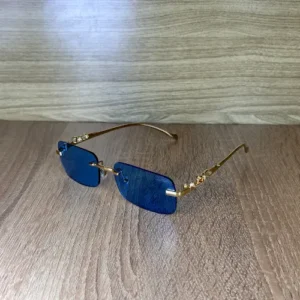 Vision Bleu
